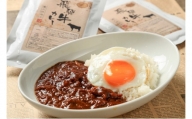 飛騨牛カレー飛騨牛入りハンバーグセット