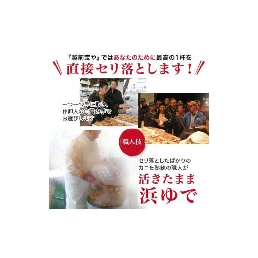 ふるさと納税 福井県 福井市  ボイル済 越前せいこ蟹／セコガニ（メス） 120〜150g×2杯 [A-088039]