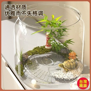 【桌面生態缸】魚缸 圓形透明塑料缸 小魚缸 生態缸 桌面小魚缸 桌面收納 觀賞魚缸 小型造景生態收納盒 家用客廳 桌麵收