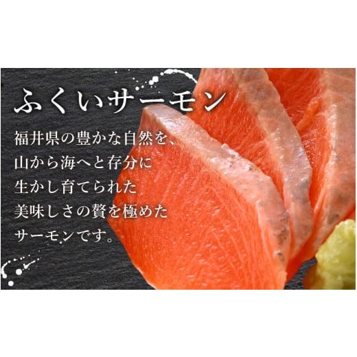 ふるさと納税 福井県 大野市 ふくいサーモン 350g (刺身用)　真空冷凍　175g × 2パック