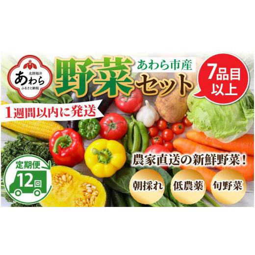 ふるさと納税 福井県 あわら市 農家直送 旬の野菜セット 7品目以上 1箱