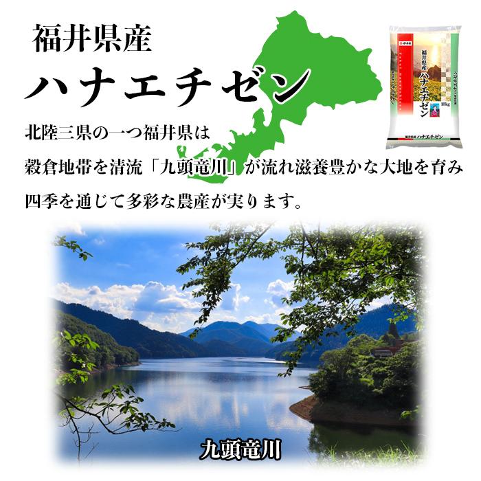 ハナエチゼン 米 20kg (5kg*4) 福井県産 令和4年産 米 お米 白米 おこめ 華越前 精米 単一原料米 ブランド米 20キロ 送料無料 国内産 国産