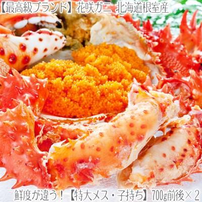 （送料無料 花咲ガニ）北海道根室産（子持ち メス）700g前後×2尾（最高級 内子 外子 北海道産 濃厚 ボイル済み お中元 お歳暮）