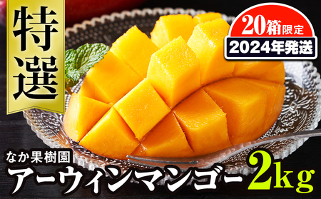 なか果樹園　特選　アーウィンマンゴー2kg　限定20箱