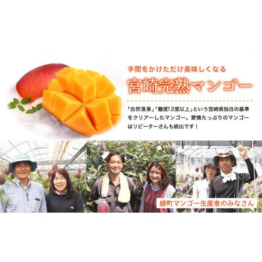 ふるさと納税 宮崎県 綾町 完熟 マンゴー 旬 野菜 セット 季節 限定 新鮮 美味しい 宮崎 果物 フルーツ 先行受付 送料無料（04-76）