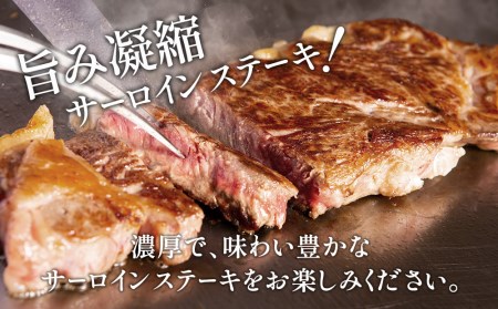 おおいた和牛 サーロインステーキ 約180g×4枚(合計720g)  牛肉 和牛 豊後牛 国産牛 赤身肉 焼き肉 焼肉 ステーキ肉 大分県産 九州産 津久見市 国産