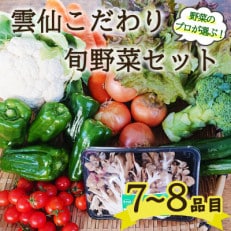 雲仙こだわり野菜セット 旬の野菜を7～8品目 詰め合わせ 野菜のプロおまかせBOX 九州