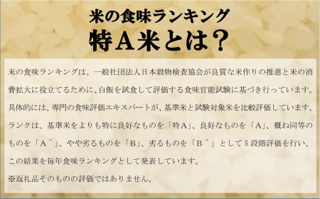 令和5年産無洗米ゆめぴりか定期便40㎏(隔月10㎏×4か月)