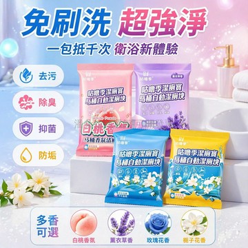 台灣出貨✨ 藍泡泡潔廁靈 衛生間除臭劑 清香型馬桶清潔塊 持久耐用去污 4種香型混合裝