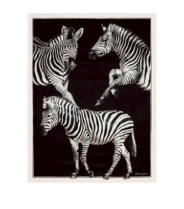 Dolce & Gabbana Casa Silk Zebra Quilted Throw