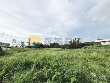 #他想賣了#路竹臨10米路都內農地#60米大面寬｜高雄市路竹區大仁段