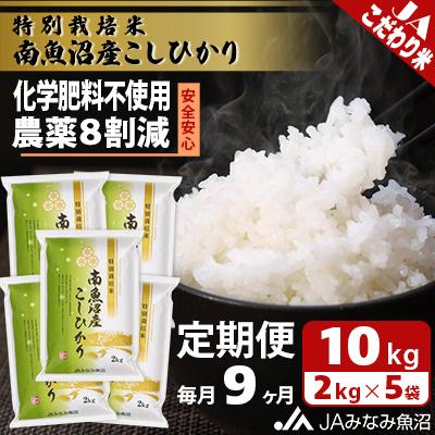 ふるさと納税 南魚沼市 特別栽培米南魚沼産こしひかり8割減 精米 10kg(2kg×5)全9回