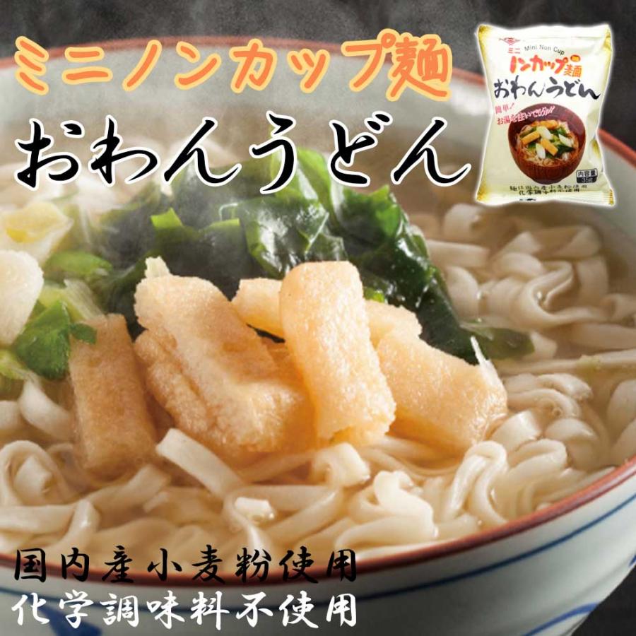 ミニノンカップ麺　おわんうどん 35g［トーエー食品］かん水不使用　即席めん　ラーメン