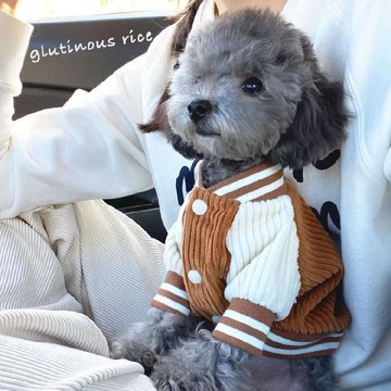 ⚡台灣出貨⚡秋冬裝 寵物棒球服 寵物夾克 寵物衣服 寵物秋冬毛絨保暖衣 小型犬寵物保暖衣 ins 狗狗保暖衣 貓咪保暖衣