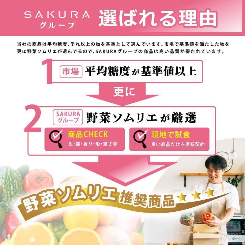 美味いとこどり お中元 高知県産 (旬な時期により北海道産を選定させていただく事がございます.）メロン 完熟 高級 赤秀A 野菜ソムリエ監修