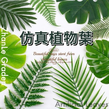 仿真植物葉 熱帶雨林植物 拍攝道具 仿真龜背葉 仿真椰樹葉 春雨葉 西瓜葉