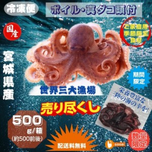 ボイル真ダコ頭付 冷凍 宮城県三陸産 (約500g  袋前後） 産地直送 送料無料