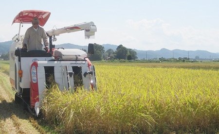 A4-01新潟県長岡産コシヒカリ・新之助　各5kg食べ比べセット