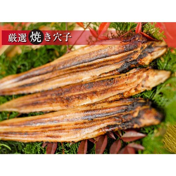 明石産　焼穴子（２尾入り・タレ付）