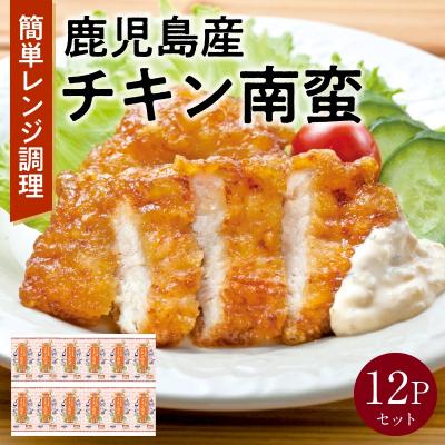 ふるさと納税 南九州市 鹿児島産チキン南蛮12Pセット