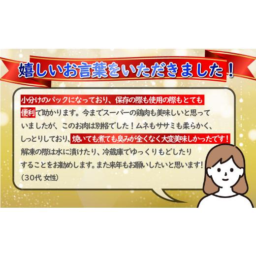 ふるさと納税 長崎県 佐世保市 B304 ながさき福とり鶏肉ムネ正肉・ささみ(計6,000g)