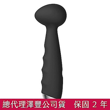 美國SVAKOM Ridmii Roxy 蘿西 便攜式電動按摩器
