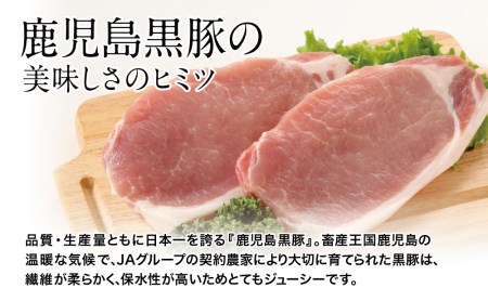  鹿児島黒牛 5等級 サーロインステーキ 400g＆鹿児島黒豚 とんかつ用 ロース 900gセット 計1.3kg 鹿児島県産 黒毛和牛 ステーキ 焼肉 バーベキュー BBQ ロース トンカツ 冷凍 南さつま市