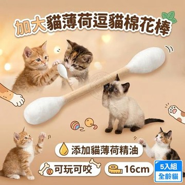 5入組 加大貓薄荷逗貓棉花棒 天然貓薄荷香氣 吸引貓咪玩耍 潔牙磨牙舒壓解悶 貓咪紓壓玩具推薦 全貓適用
