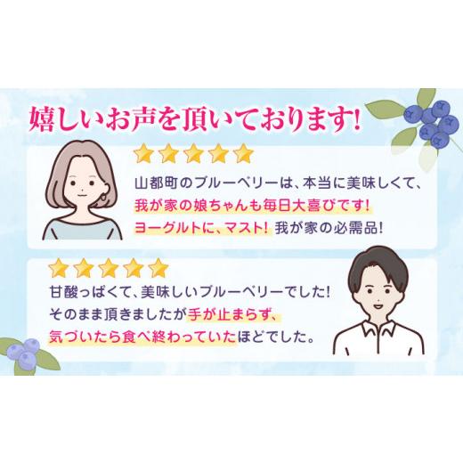 ふるさと納税 熊本県 山都町 冷凍ブルーベリー 計1.2kg 400g × 3パック 熊本県産 山都町産 ブルーベリー フルーツ スムージー 果物 小分け …