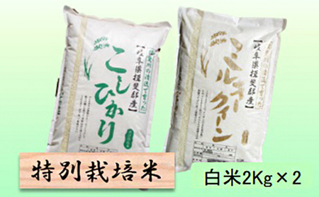 特別栽培米★白米４kg 