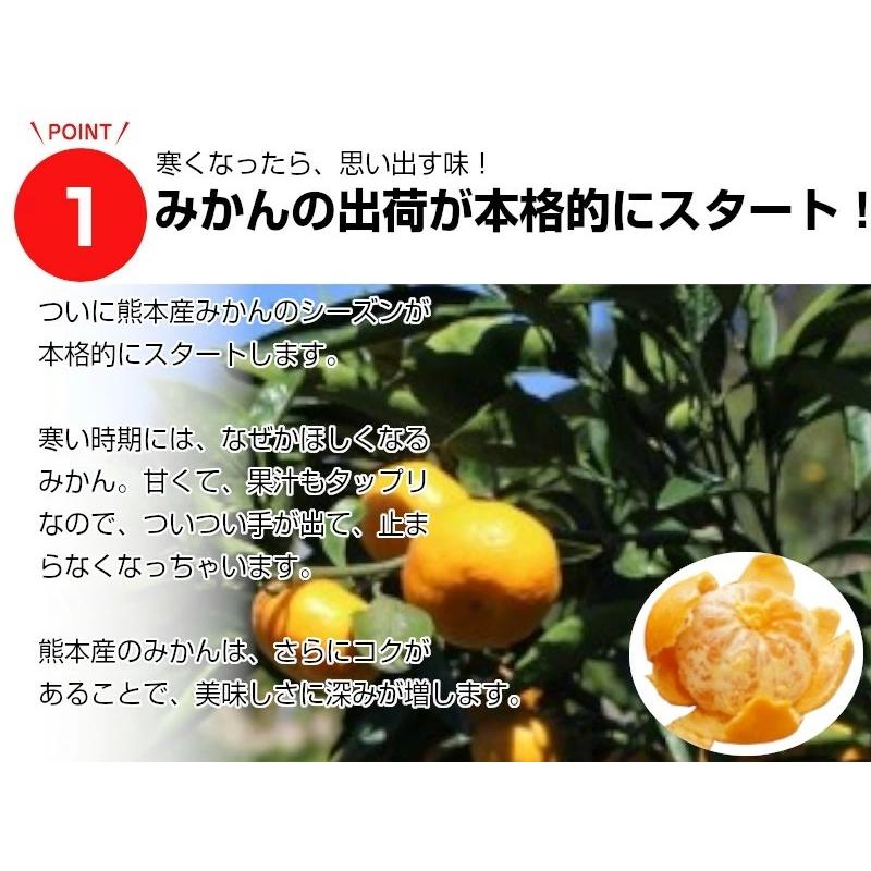 熊本産　みかん5kg小玉ちゃん 送料無料 果物ギフト ギフト・ご贈答用 ご家庭用 ミカン