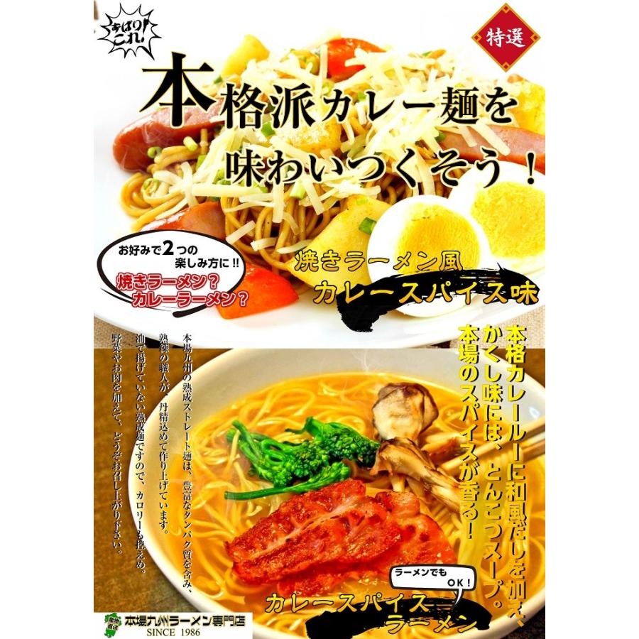 焼きラーメン　お取り寄せ　本格スパイス　濃厚カレースープ　焼ラーメン　6人前　アレンジ　セット　カロリー控えめ　310kcal　お試しグルメギフト