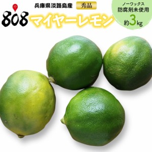 秀品 マイヤーレモン ノーワックス 防腐剤未使用 約3kg(北海道沖縄別途送料加算)れもん 檸檬 国産レモン 