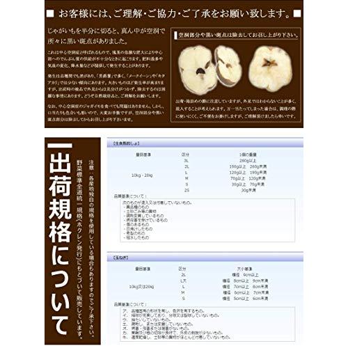 北海道産 レッドムーン＆インカのめざめ セット 4kg(ご家庭用) 新じゃが 越冬 ジャガイモ 馬鈴薯 野菜 北海道 お取り寄せ