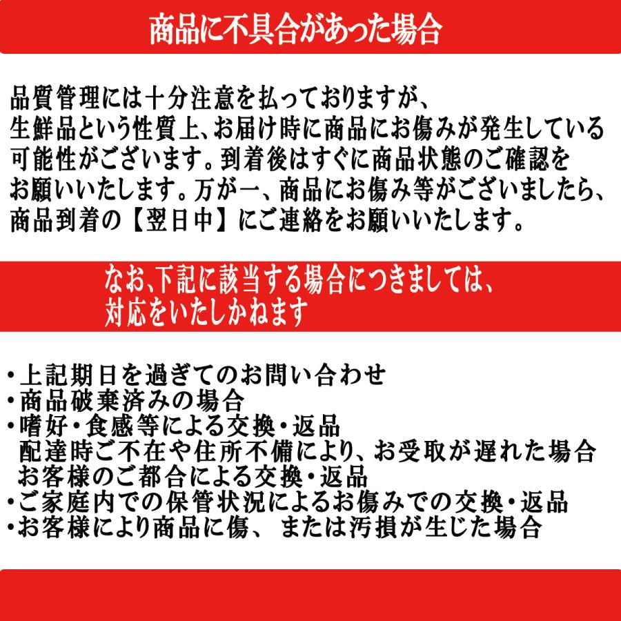 ホタテ 殻付き 活ホタテ 北海道 お歳暮 お取り寄せ 2キロ