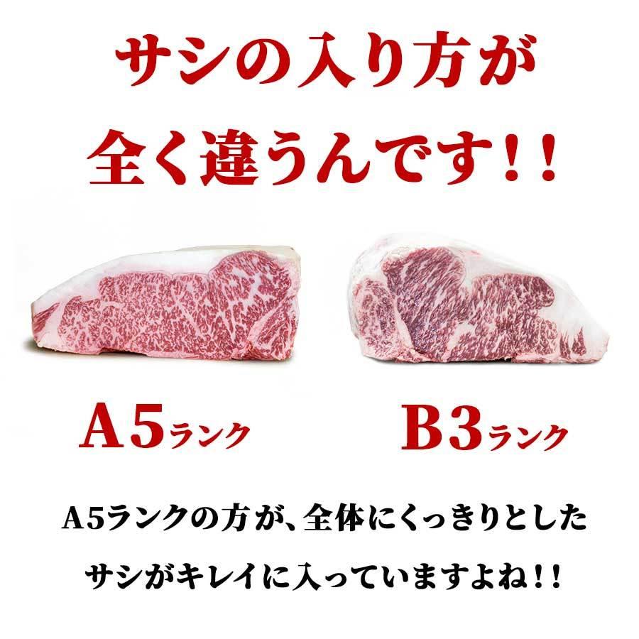 お歳暮 御歳暮 肉 焼肉 牛 牛肉 スライス 霜降り サーロイン A5 黒毛和牛 300g 冷凍 プレゼント ギフト 贈り物