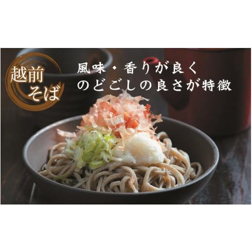 ふるさと納税 福井県 福井市 ヤマサ製麺 越前そば 12食 （3食袋×4）【蕎麦 おそば なまそば 生そば 生麺 麺類 越前蕎麦 和食 小分け 風味 のど越し つゆ付 冷…