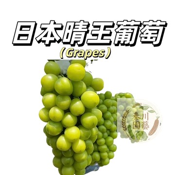 嘉義現貨（日本晴王葡萄種子PT-4） 特大爬藤陽光玫瑰青提葡萄~結果多皮薄多汁南北部種植庭院水果種子#Grape