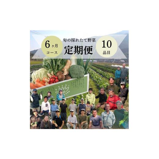 ふるさと納税 高知県 香美市 「定期便」野菜詰め合わせセット6ヵ月