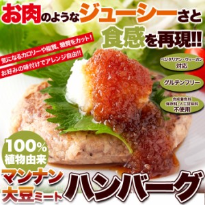 1000円 100％植物由来の新感覚ハンバーグ!!マンナン大豆ミートハンバーグ90g×3袋 大豆ミート マンナン大豆 グルテンフリー ベジタリアン