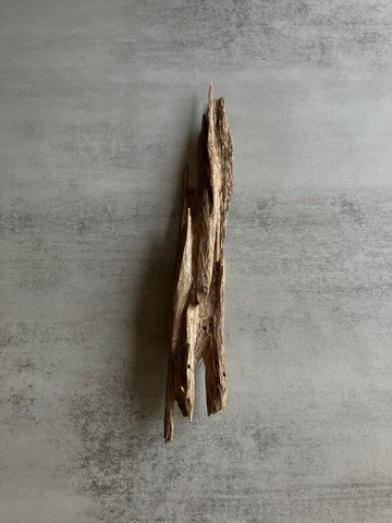 野生芽莊沉香老料S43(23.9克)