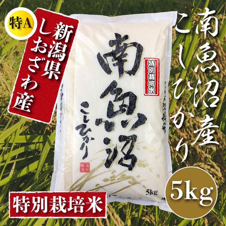  米 5kg 新潟 南魚沼 塩沢産 コシヒカリ 生産者限定米 令和5年産 