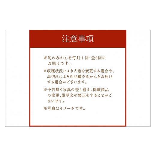 ふるさと納税 三重県 御浜町 旬のみかん又はジュースを毎月発送（5回） 果物 フルーツ みかん 定期便 果物定期便 フルーツ定期便