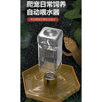【台灣現貨】爬寵水盆 六角型 自動餵水器 爬蟲自動水盆 陸龜水盆 鬃獅 蜥蜴水盆 自動飲水器 喂水盆 食盆 自動蓄水盆