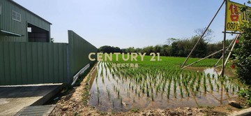 近新湖市區漂亮美農/全區甜甜價｜新竹縣新豐鄉後湖子