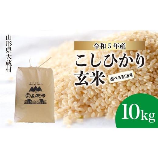 ふるさと納税 山形県 大蔵村 令和5年産 大蔵村 コシヒカリ  10kg （10kg×1袋）