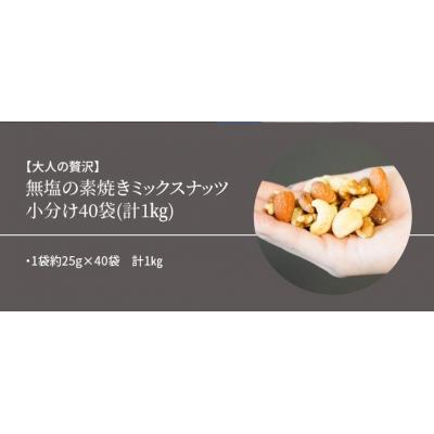 ふるさと納税 碧南市 無塩の素焼きミックスナッツ　小分け40袋(計1kg)　H059-095