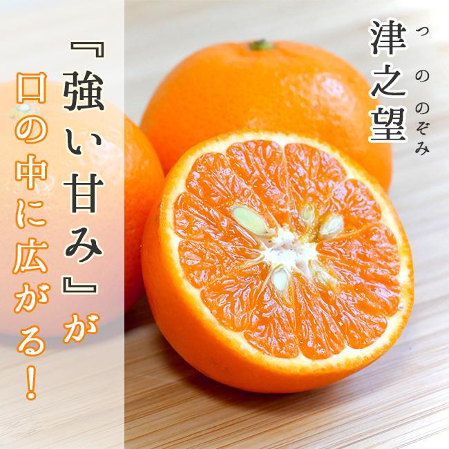 津之望 つののぞみ 10kg 和歌山産 減農薬 国産 送料無料 農家直送 産地直送