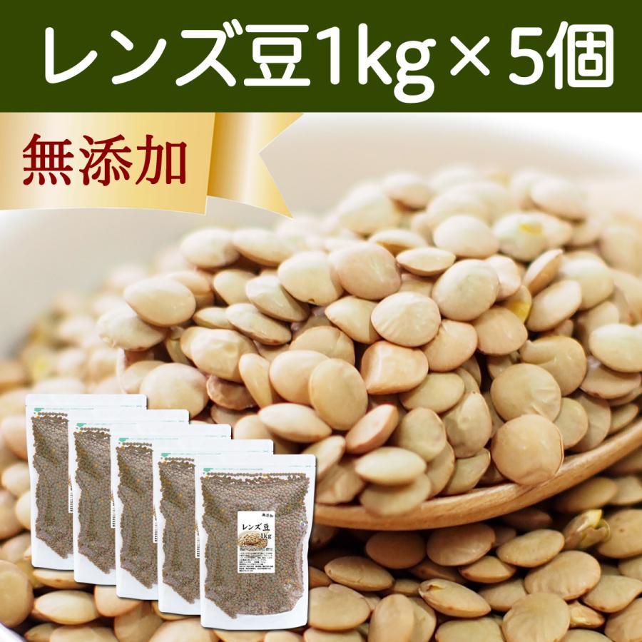 レンズ豆 1kg×5個 乾燥 ひら豆 ヒラマメ ヒラ豆 ブラウン アメリカ産