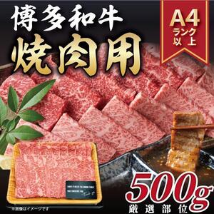 博多和牛 焼肉用　500g 1パック